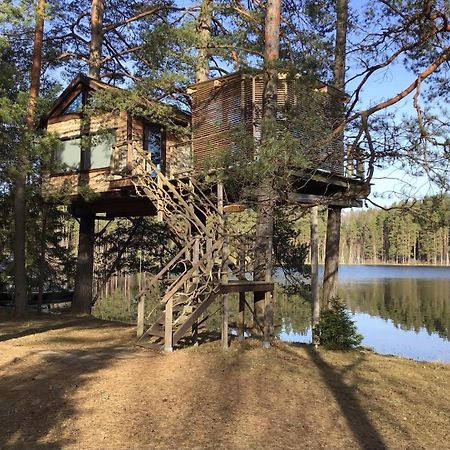Dukuri Treehouse Ciekurs 빌라 외부 사진