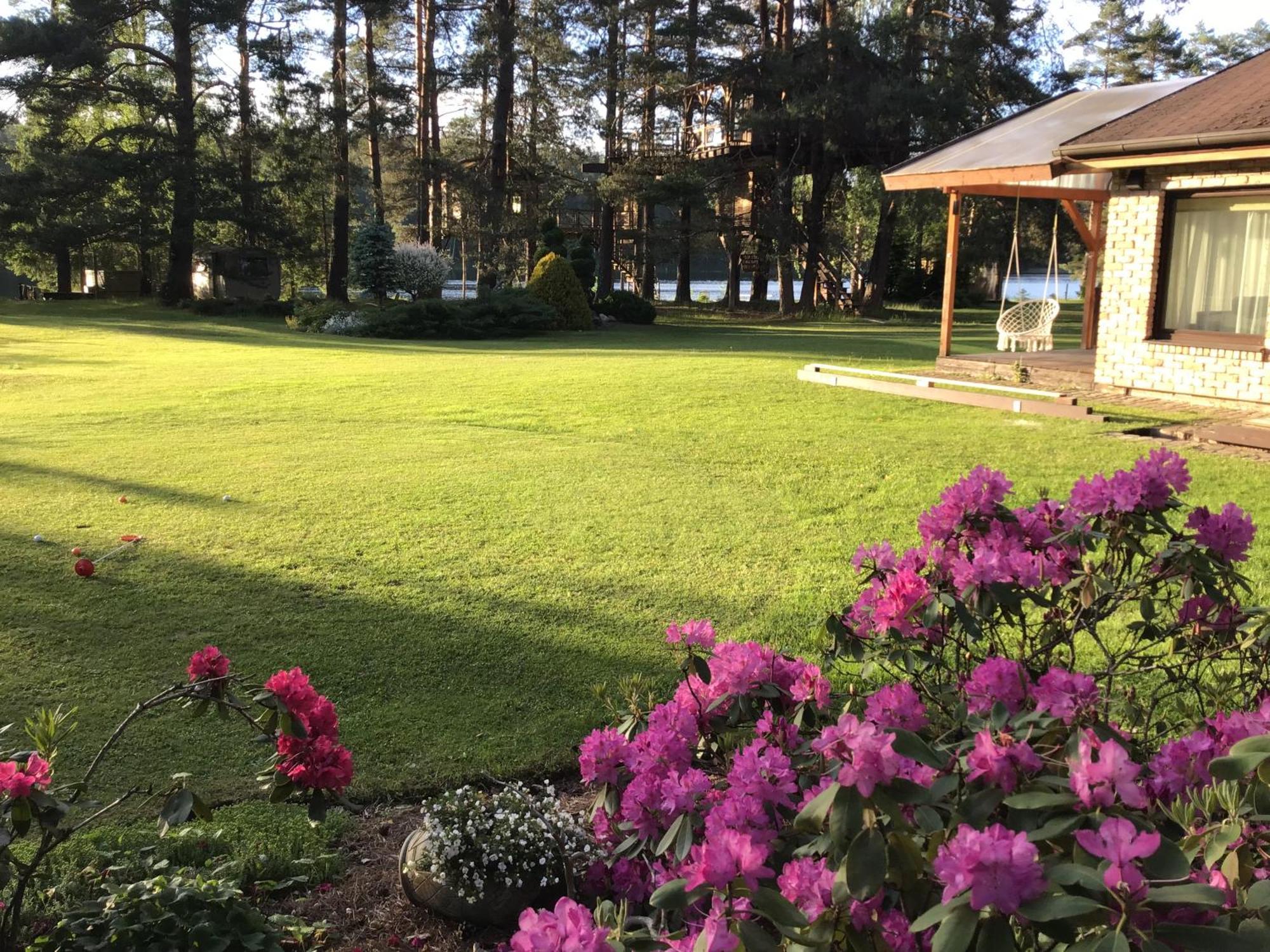 Dukuri Treehouse Ciekurs 빌라 외부 사진