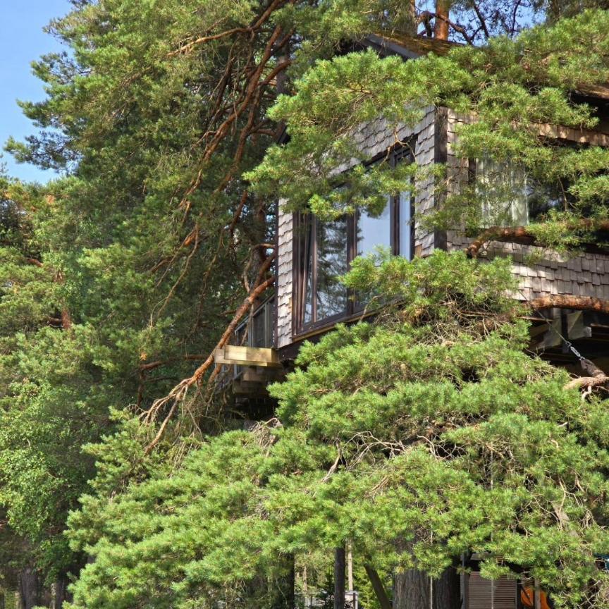 Dukuri Treehouse Ciekurs 빌라 외부 사진