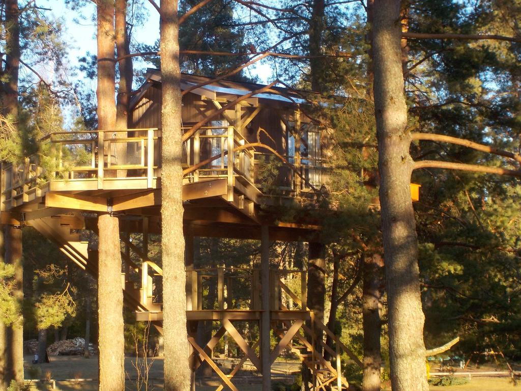 Dukuri Treehouse Ciekurs 빌라 외부 사진